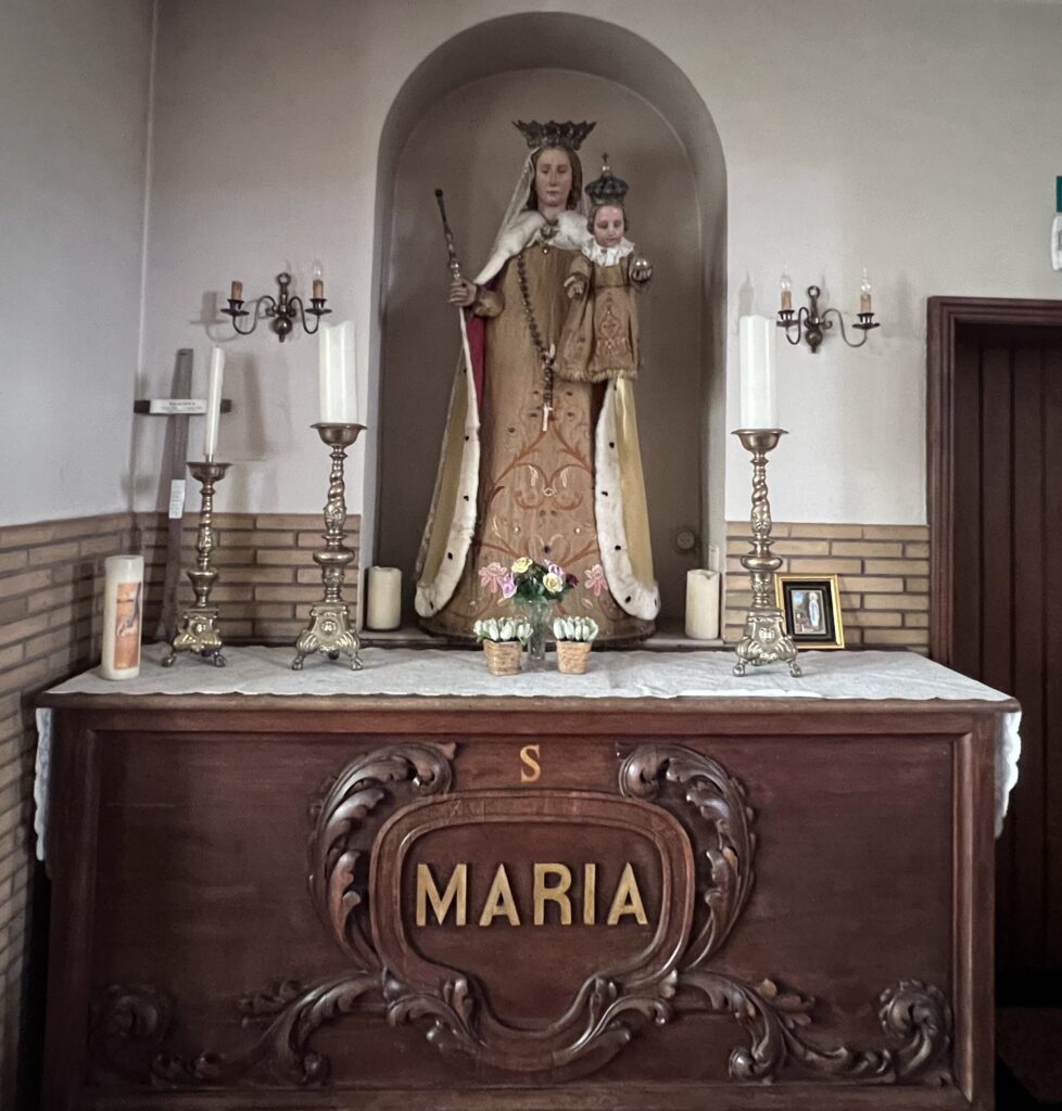 IMG 9226